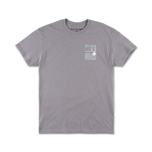 Dolphin Cup Tee in Grey